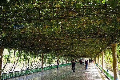 《GUNDAM 创坏者4》即将举行公开网络测试！